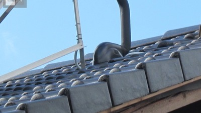 Realizace solárního systému Apricus AP30